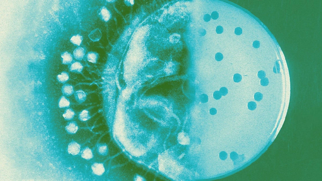 What’s new in biology: June 2026