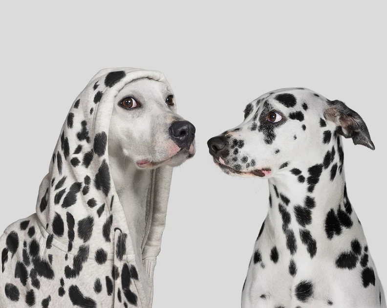 FYI: Impersonators are (still) targeting companies with fake TechCrunch outreach | TechCrunch