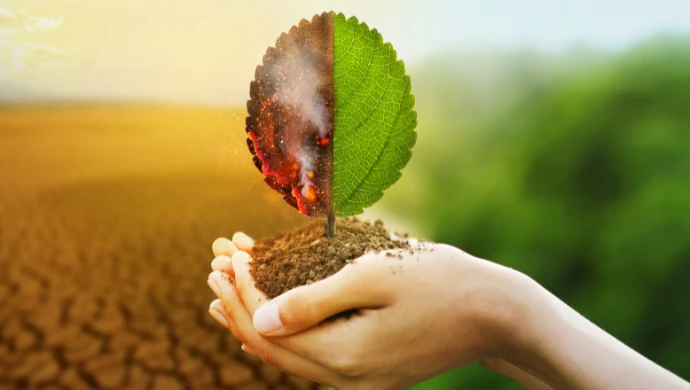 How to scale voluntary carbon markets with DeFi and Web3 | e27