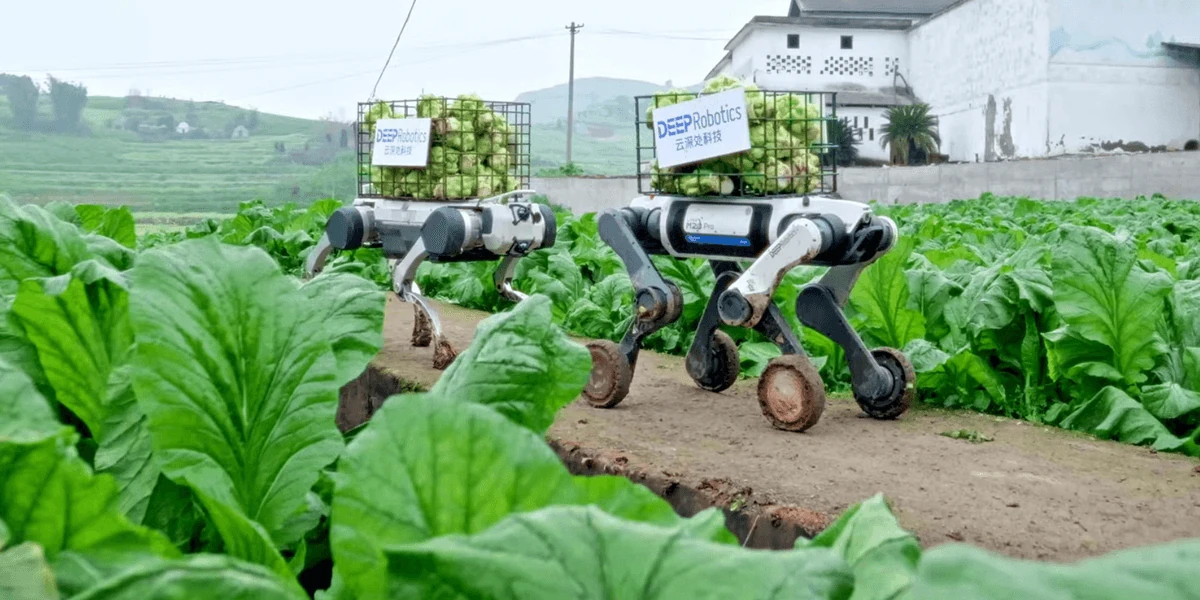 Are Robot Dogs a Farmer’s New Best Friend?