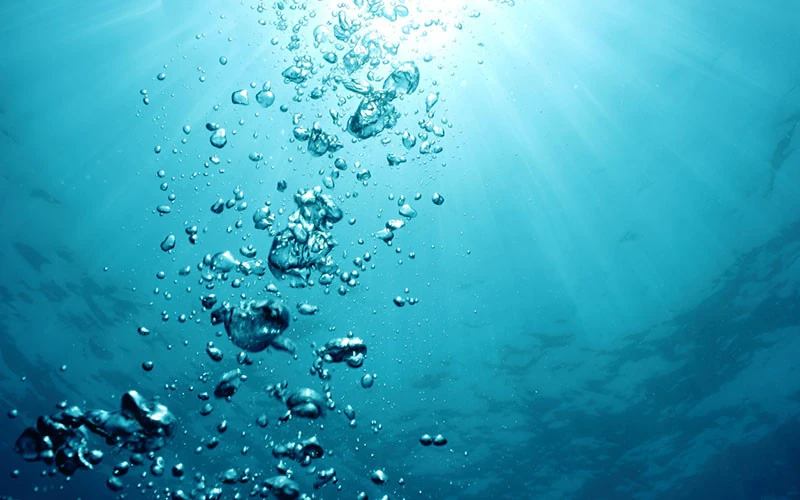 Underwater Oxygen Loss Threatens Earth's Stability, Researchers Warn
