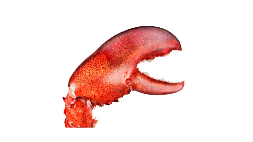 Four OpenClaw flaws let attackers steal data, escalate privileges, and plant backdoors through the agent’s own sandbox