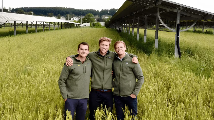Feldwerke pulls a €12M revolving credit facility behind a 100 MW agri-PV roll-out