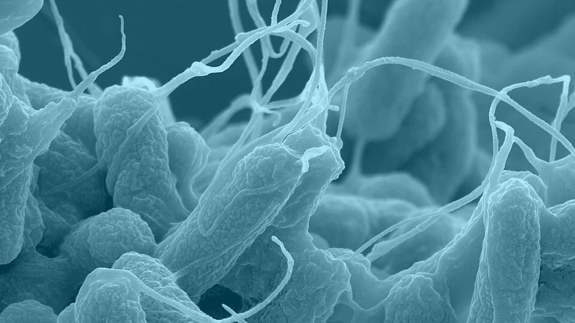What's new in biology: July 2026