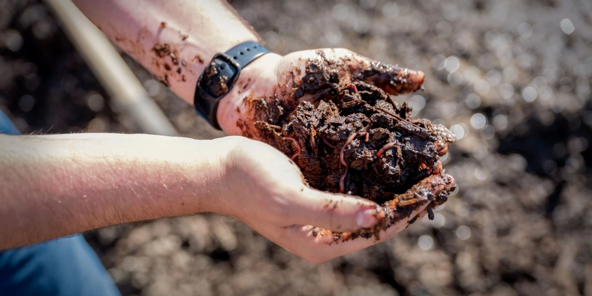 The Download: worms fight pollution, and geoengineering faces reality