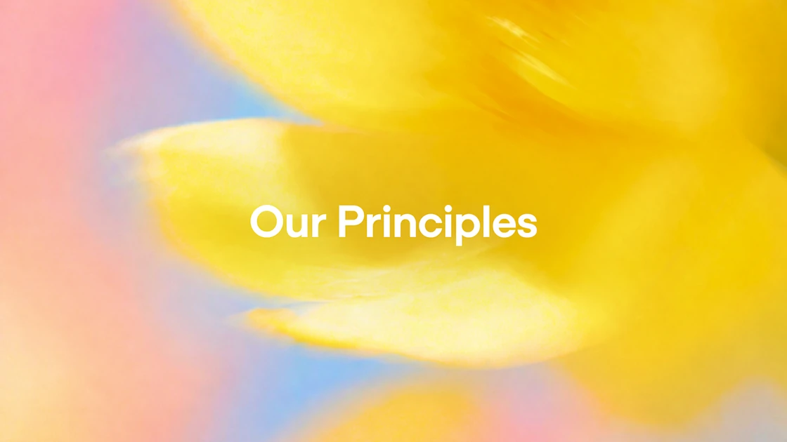 Our Principles
