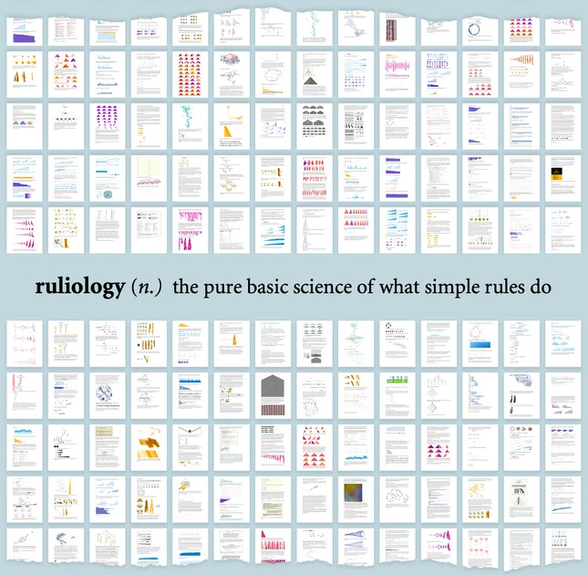 What Is Ruliology?