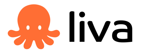 Liva AI (YC S25) Is Hiring