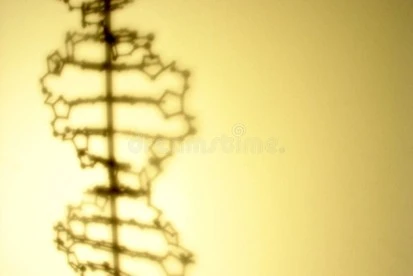 THE ETHICAL STARTUP? | Voices in Bioethics
