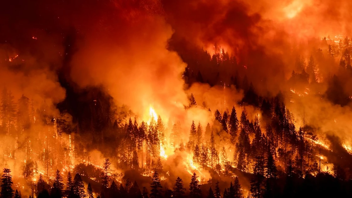 Overshoot: The World Is Hitting Point of No Return on Climate