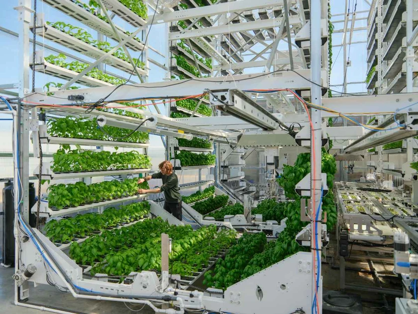 Canopii looks to succeed where past indoor farms have not | TechCrunch
