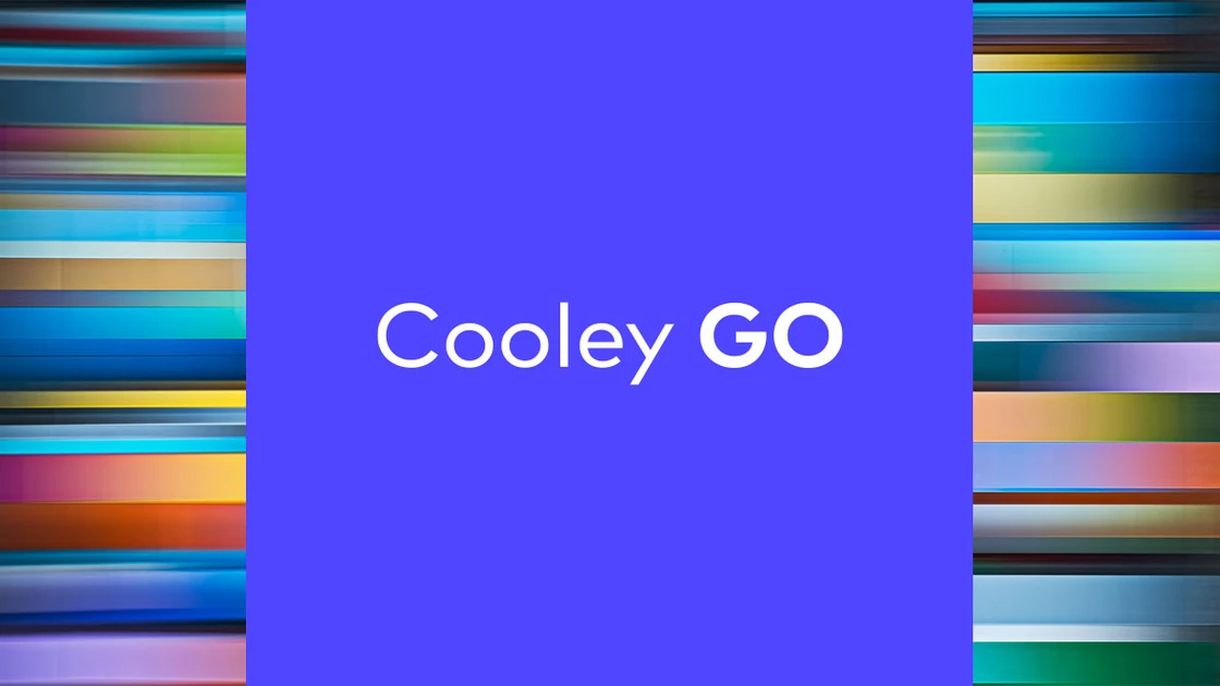 Founder’s Stock, Vesting and Founder Departures | Cooley GO