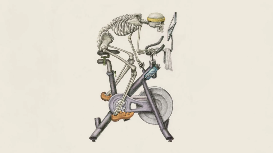 Something Is Wrong with Modern Longevity Science