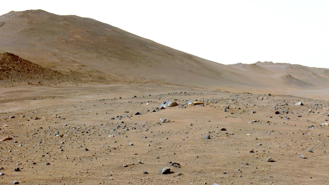 A martian rock has lots of carbon on it, and it's not clear why