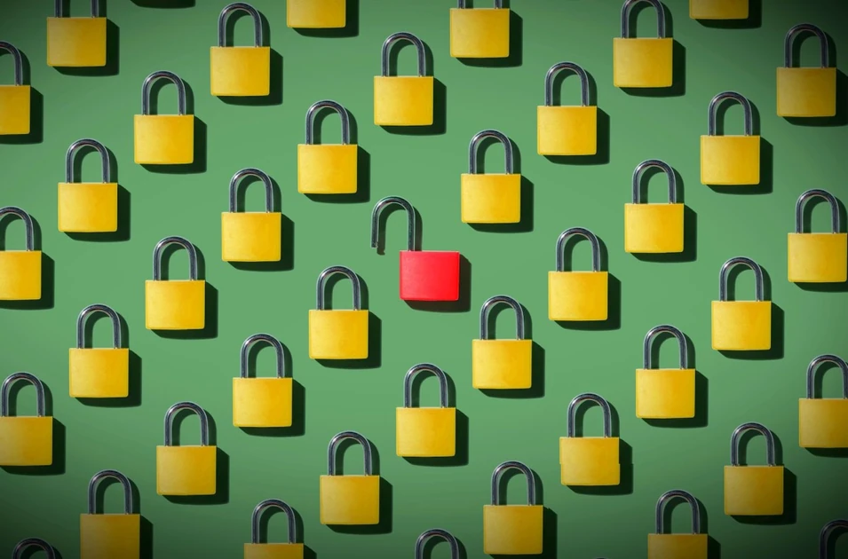 Exclusive: Bug in student admissions website exposed children’s personal information