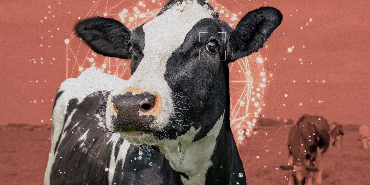 The Bay Area’s animal welfare movement wants to recruit AI