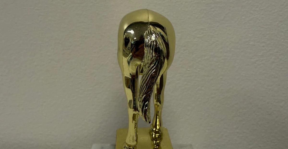 Behold, the Elon Musk jackass trophy