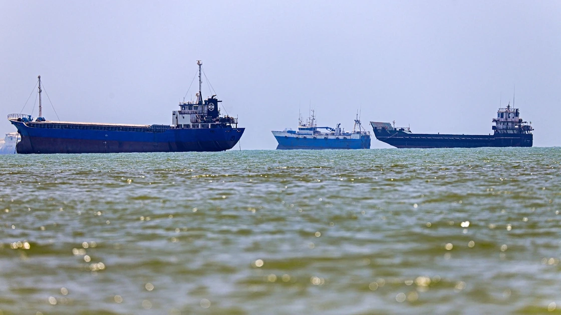 Possible invasive species superspreader event near Strait of Hormuz