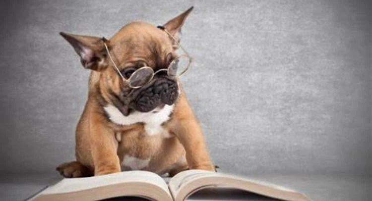 Authors’ Networking Group | How do you guys grow your audience | Facebook