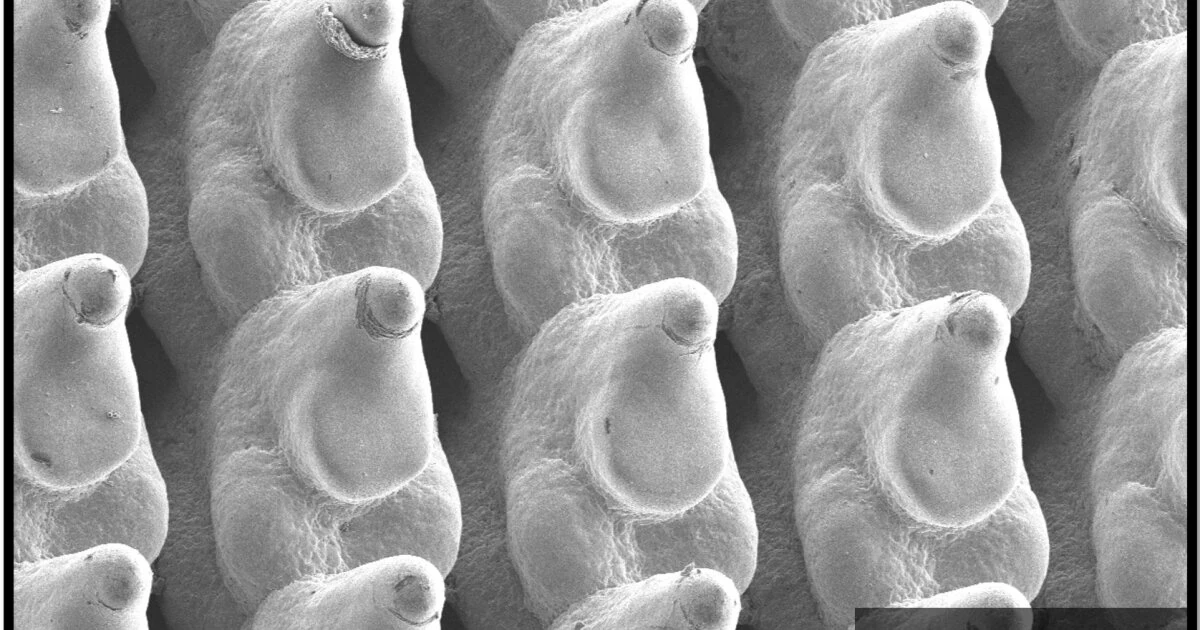Cooling copper plates could slash data center energy use by 90%