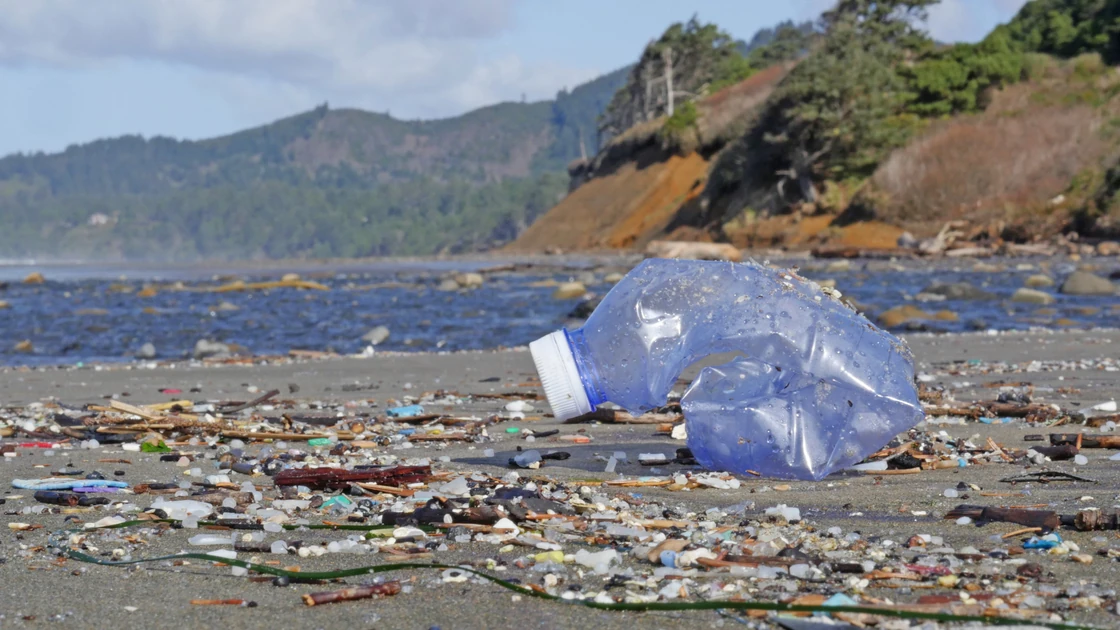 Why the Ocean Cleanup Hasn't Solved the Plastic Pollution Crisis