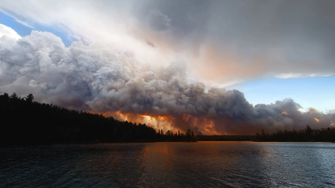 First Came the DOGE Cuts, Then Came the Wildfires