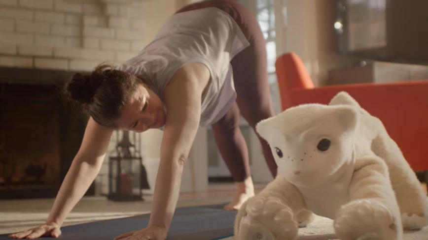 The man who put a Roomba in every home wants to replace your dog with a plush robot