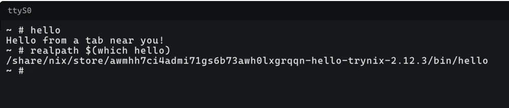 Any Nix package, live in the browser