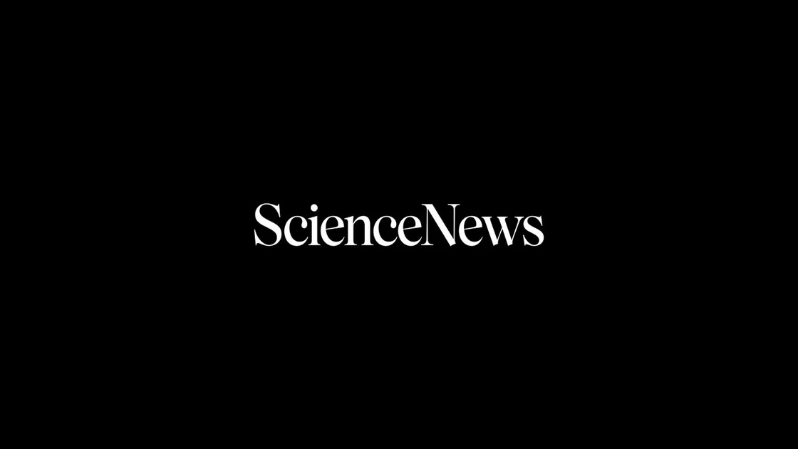 Artificial Intelligence | Science News
