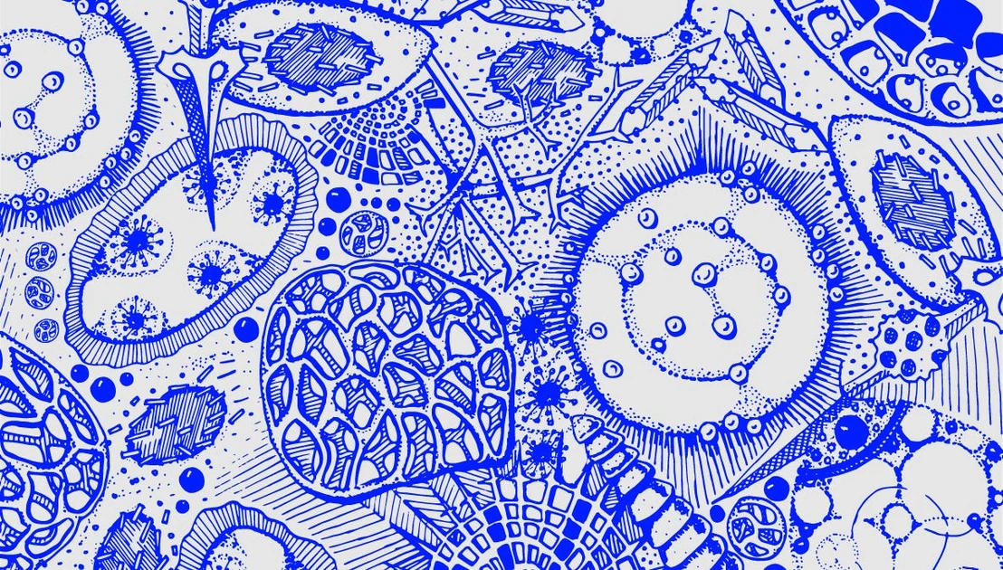 What’s new in biology: spring 2026