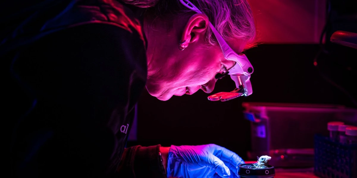 Colossal Biosciences is growing chickens in a 3D-printed container