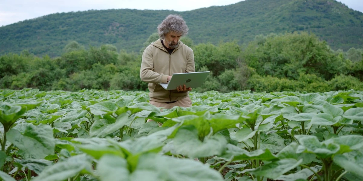 Agriculture is ready for AI, but its data isn’t