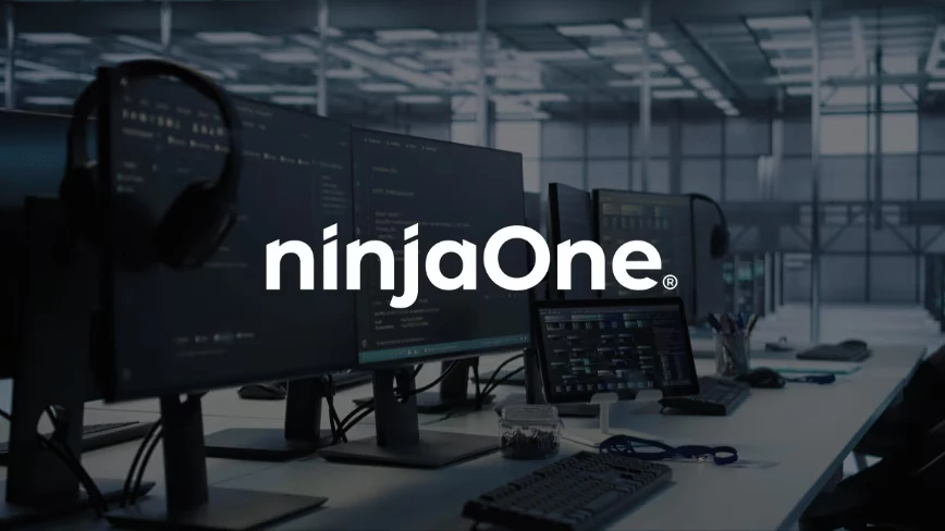 NinjaOne’s valuation more than doubles to $12.3bn, and it says it didn’t even need the money
