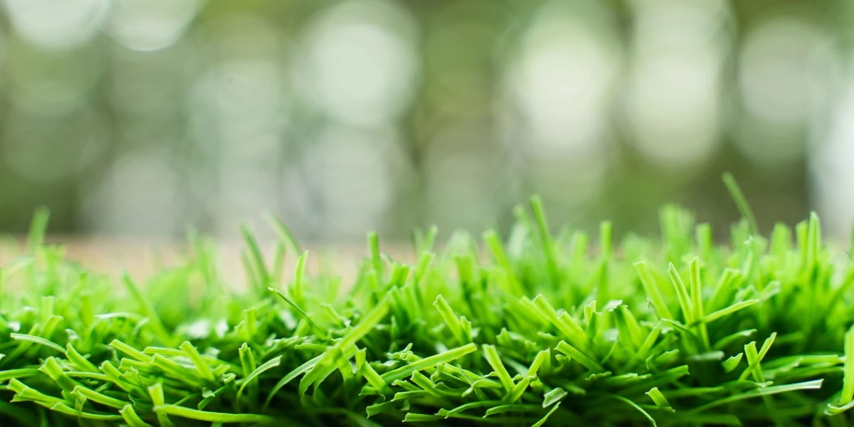 Is fake grass a bad idea? The AstroTurf wars are far from over.