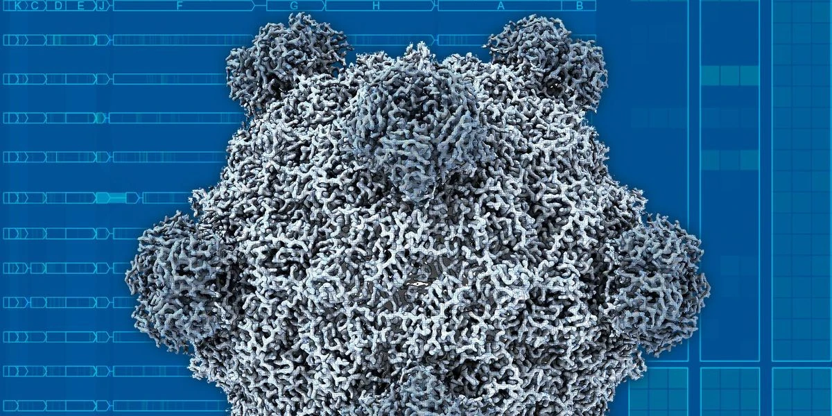 AI Can Now Design Functional Viruses. Should We Worry?