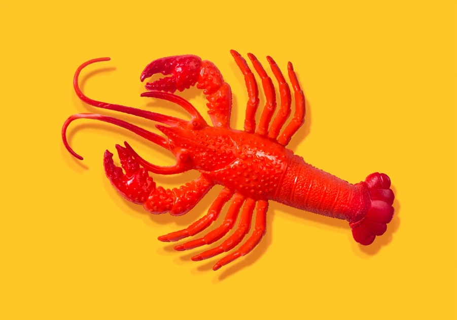 After all the hype, some AI experts don’t think OpenClaw is all that exciting | TechCrunch