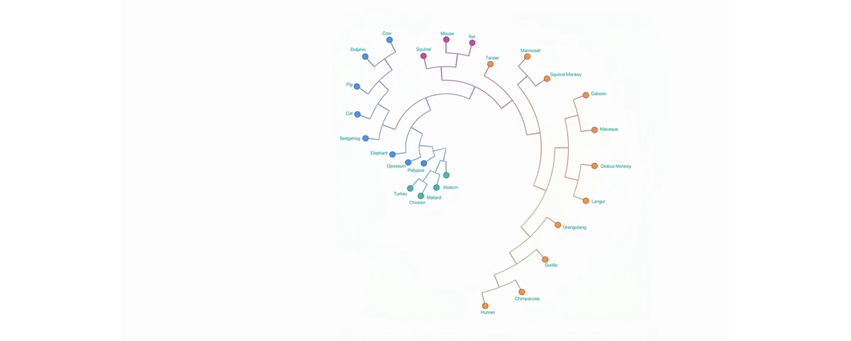 What's the largest software project AI can complete on its own?