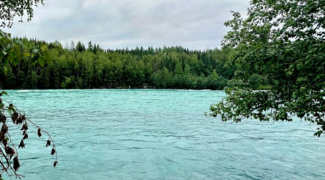 Predicting the 2026 Bristol Bay and Kodiak Salmon Runs