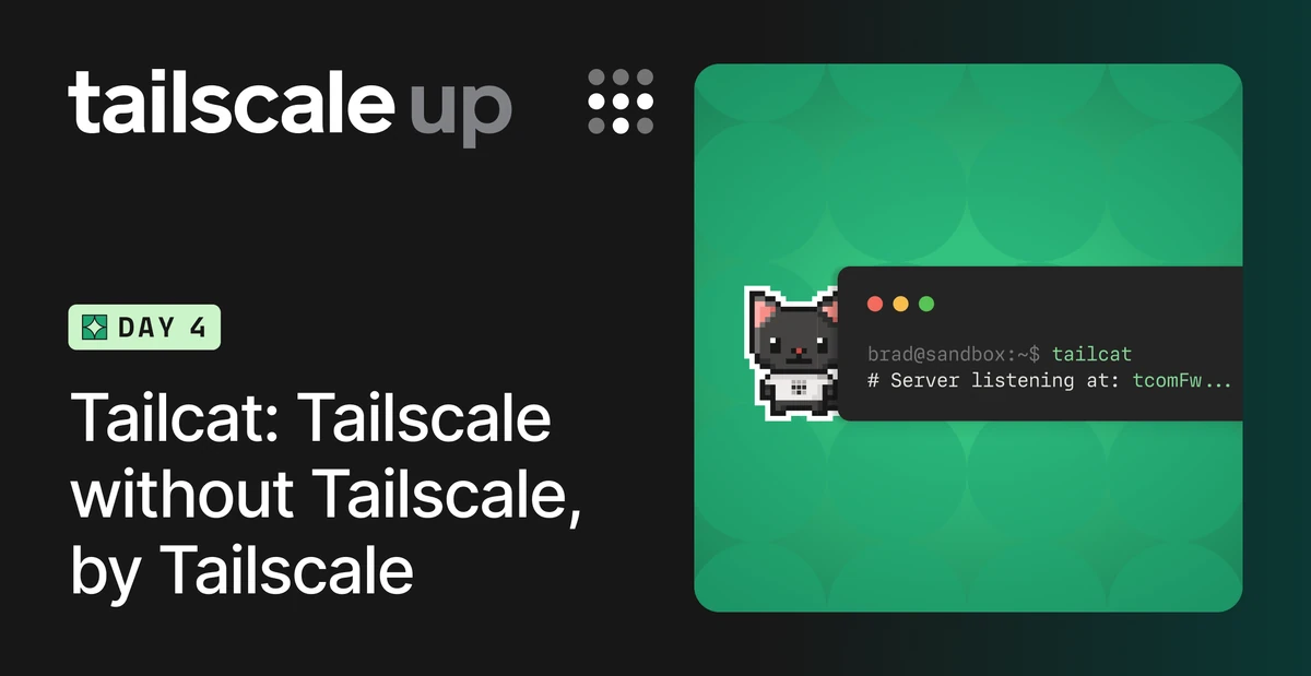 Tailcat: Tailscale Without Tailscale, by Tailscale