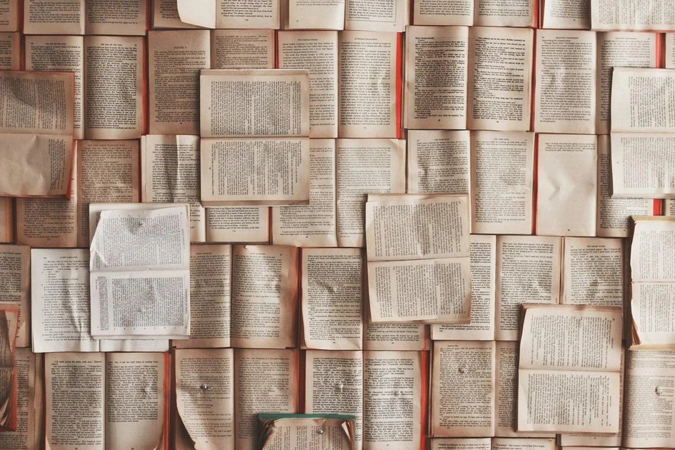 AI companies are shredding rare books