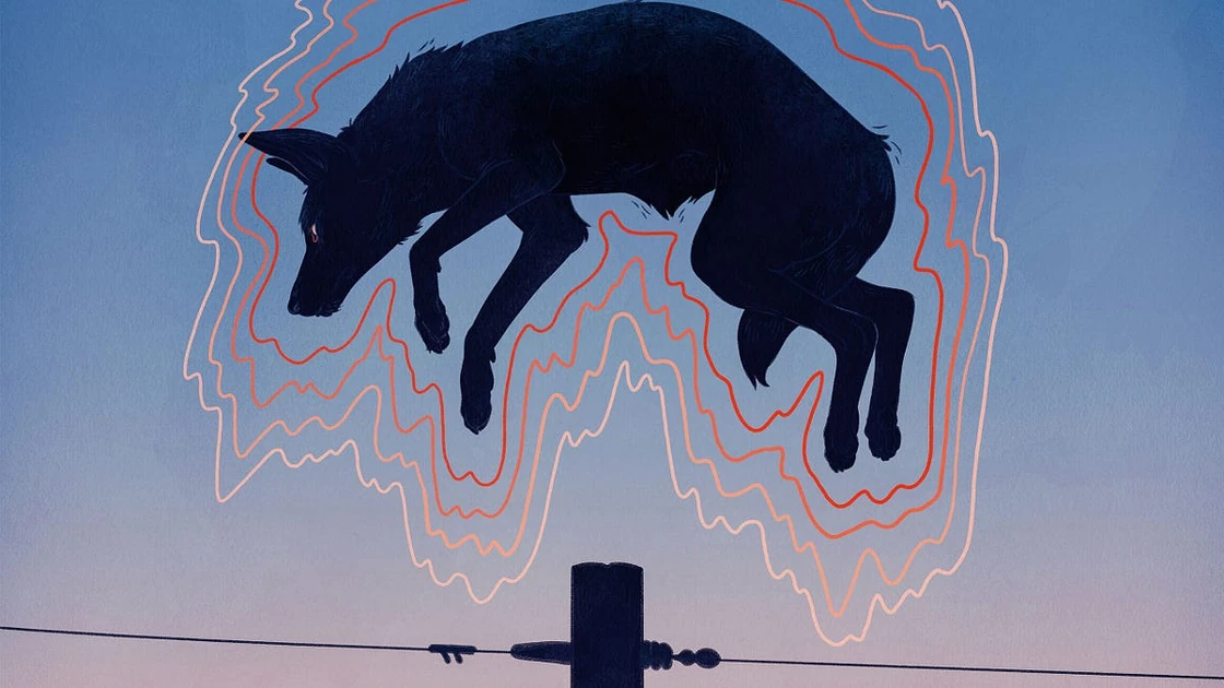 Why we should vaccinate wild animals