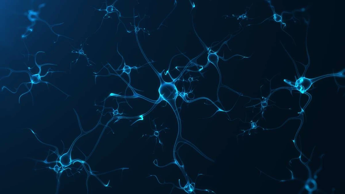 Drug reverses autism-like brain changes in adult mice within hours