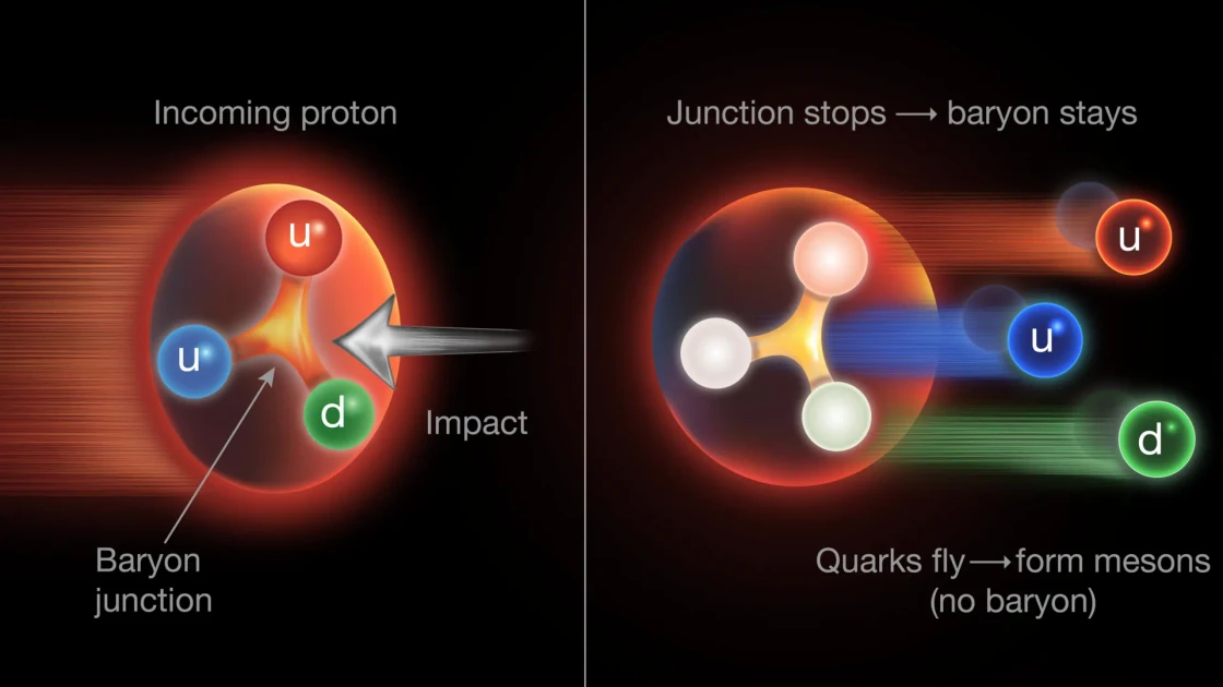 Physicists discover a hidden gluon structure inside protons